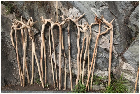 walking sticks