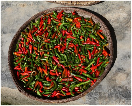 chilli drying in the sun