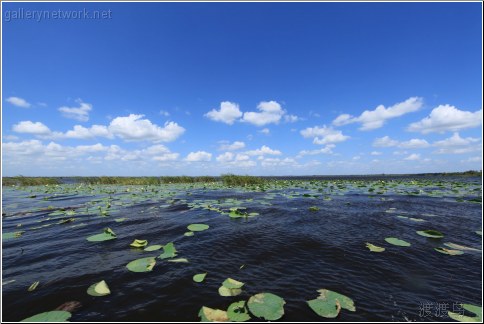 lake trafford florida