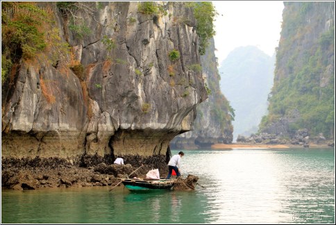 halong fisherman