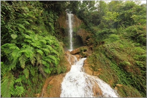 forest waterfall