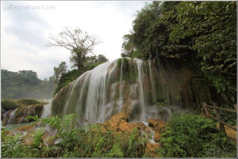 forest waterfall